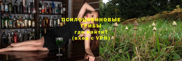 амф Апатиты