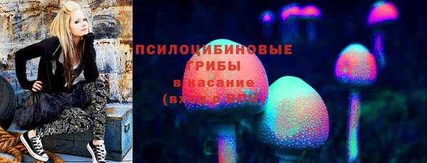 PSILOCYBIN Анива